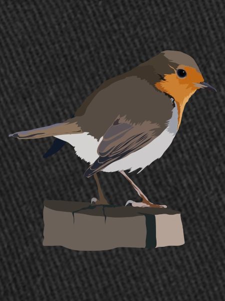 Rotkehlchen