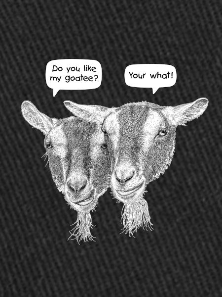 Funny Goatee Beard