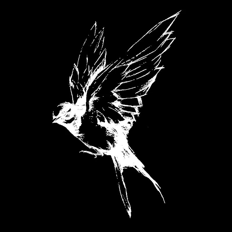 oiseau