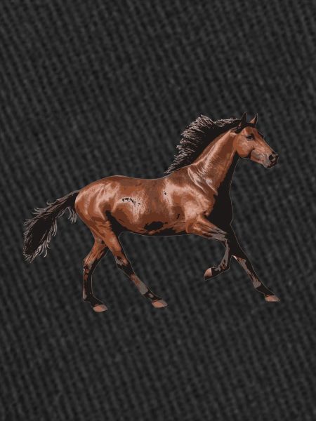 amour de cheval