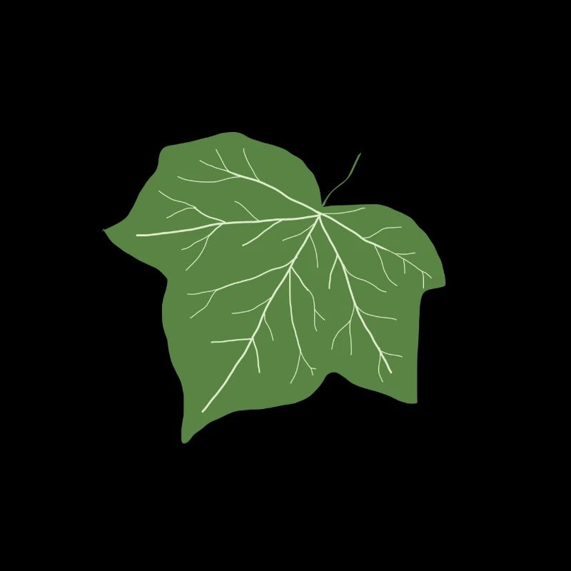 Efeu