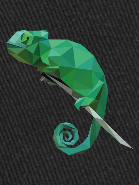Chamäleon Chamaeleon Cham