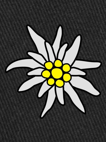 Fleur, edelweiss