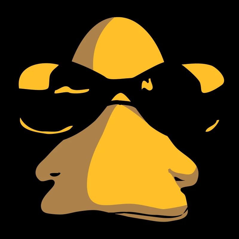 sunglasses_duck