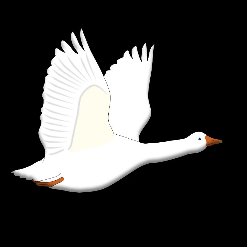 Goose vol