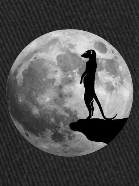 suricate lune