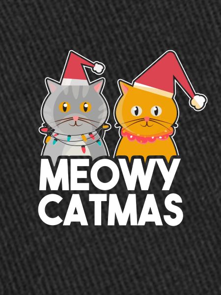 Chat de noel
