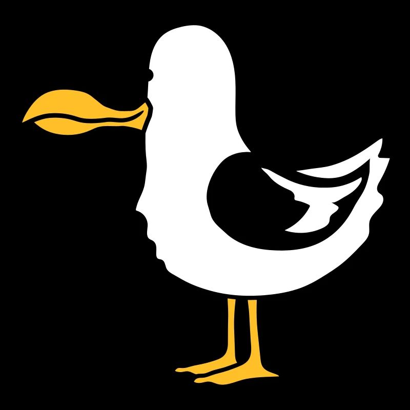 drôle moeve plage oiseau faim