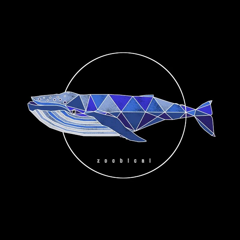 rorqual commun