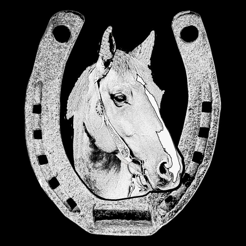 Cheval avec fer à cheval