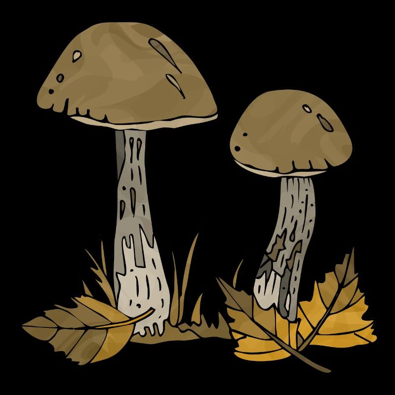 Champignons
