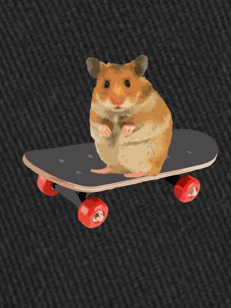 Skateboard Hamster