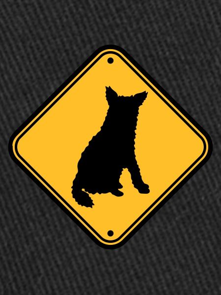 Caution biting dog