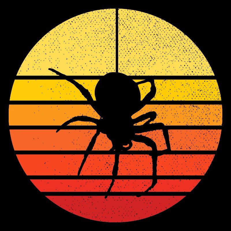 araignée et coucher de soleil - nature et insecte