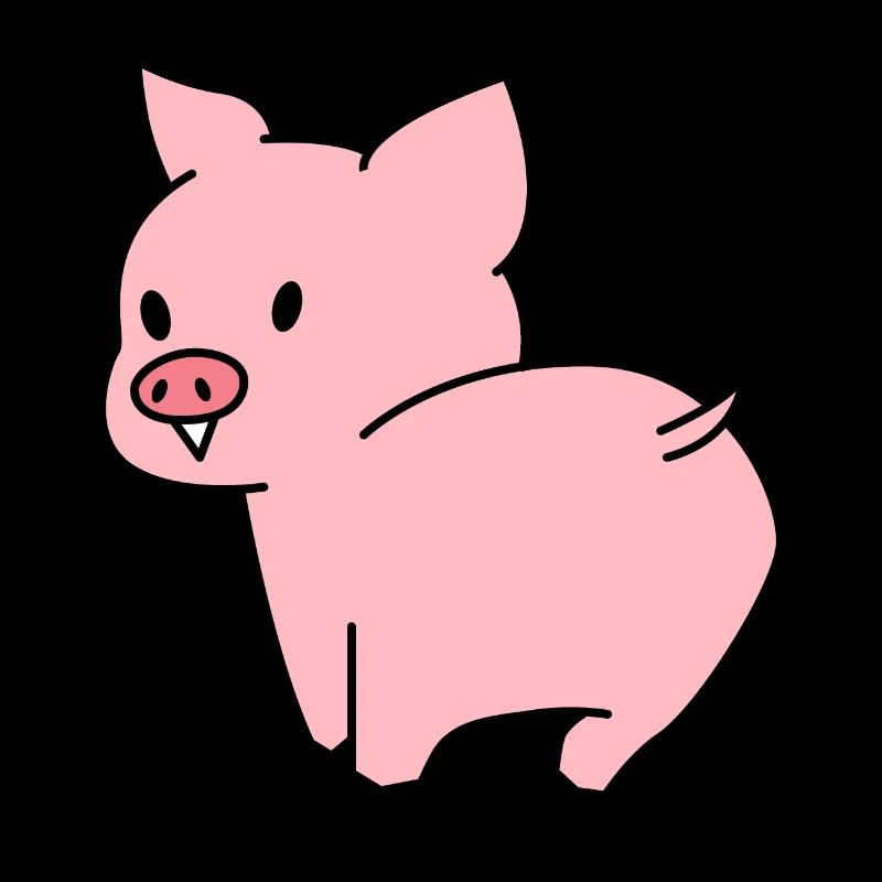 Cute Pig