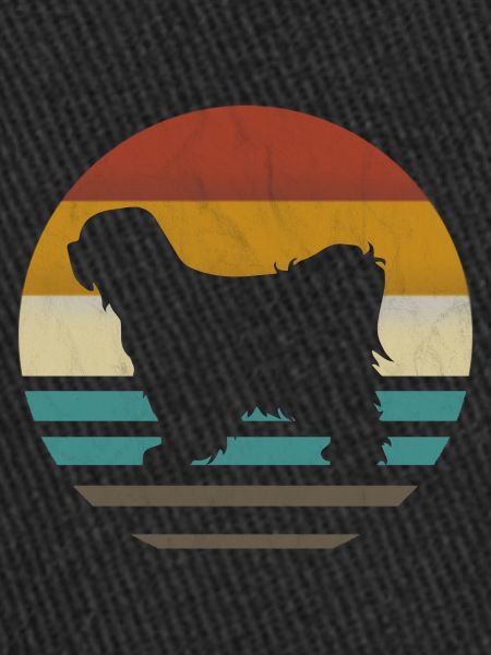 Tibet terrier retro