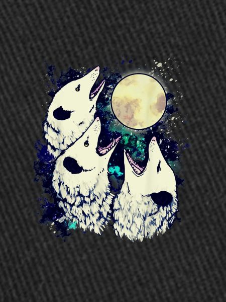3 opossum moon