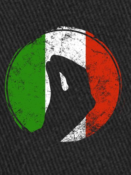 Italie Drapeau italien Capisci