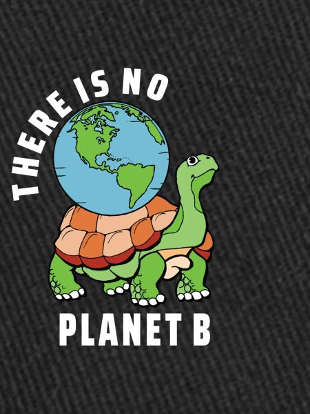 there is no planet b