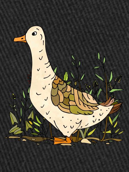 Canard