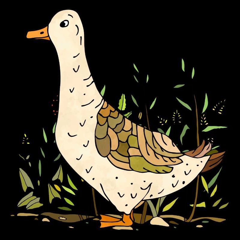 Canard