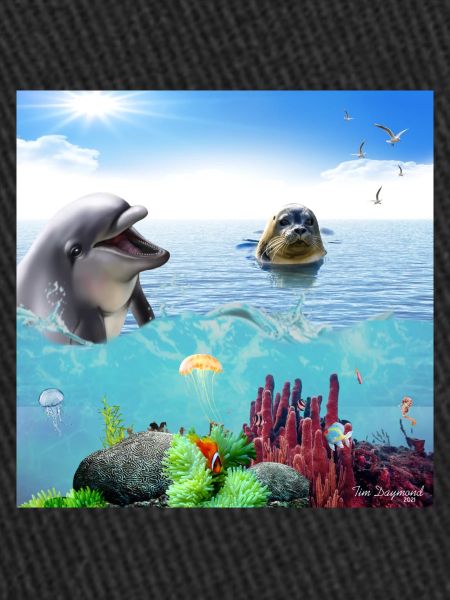 Dolphin Seal Szene Poster
