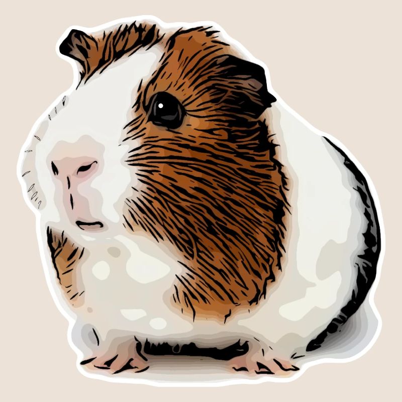 cochon d’Inde doux