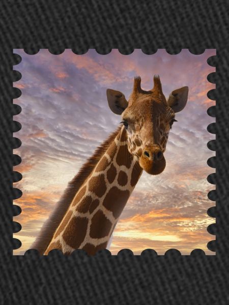 Giraffe at sunset