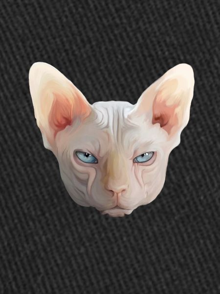 SPHYNX