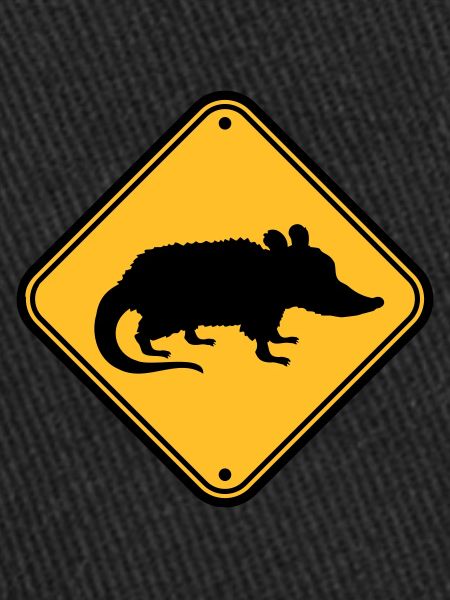 Opossum Danger Shield