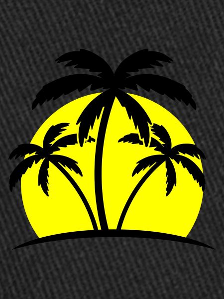 beach palm trees