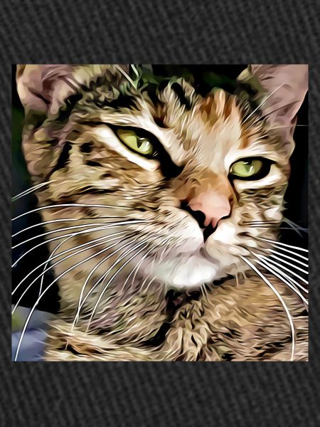 Portrait de chat tabby