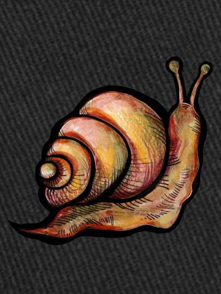 Snail