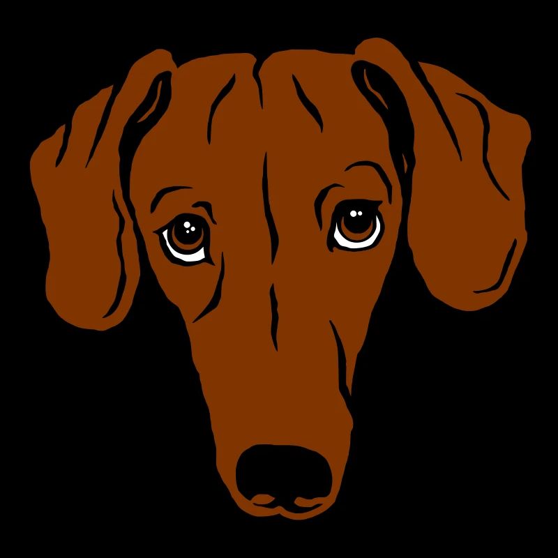 Teckel, cheveux courts