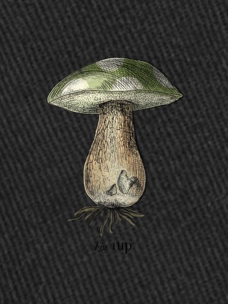 1Up
