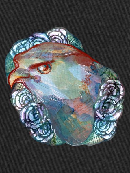 Hawk