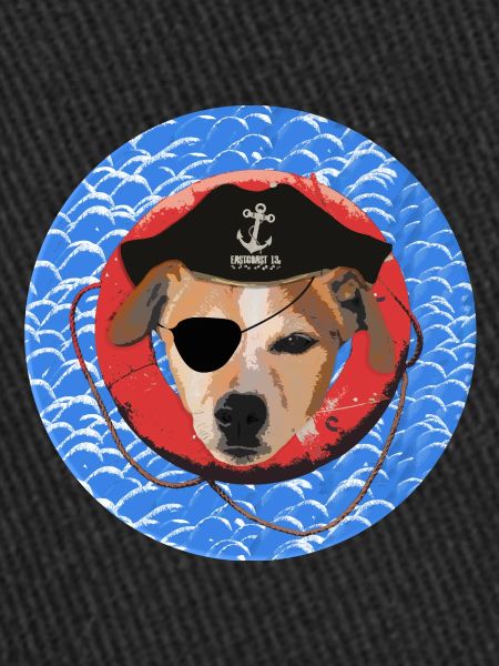 THE PIRATE TERRIER
