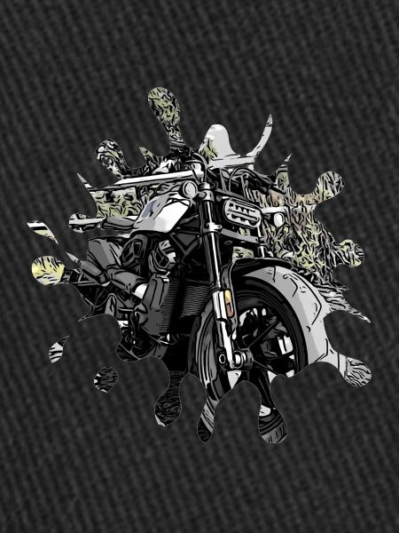 Motorcycle splash SW