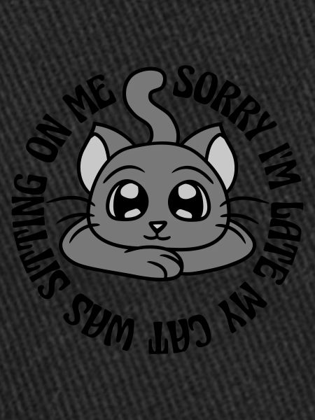 désolé chat était assis