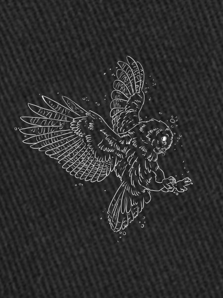 hibou