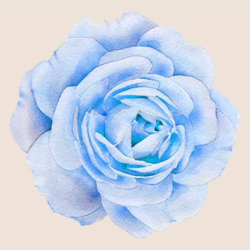 4FEF9AA9 BD30 444D 8897 44D2529F0FFE