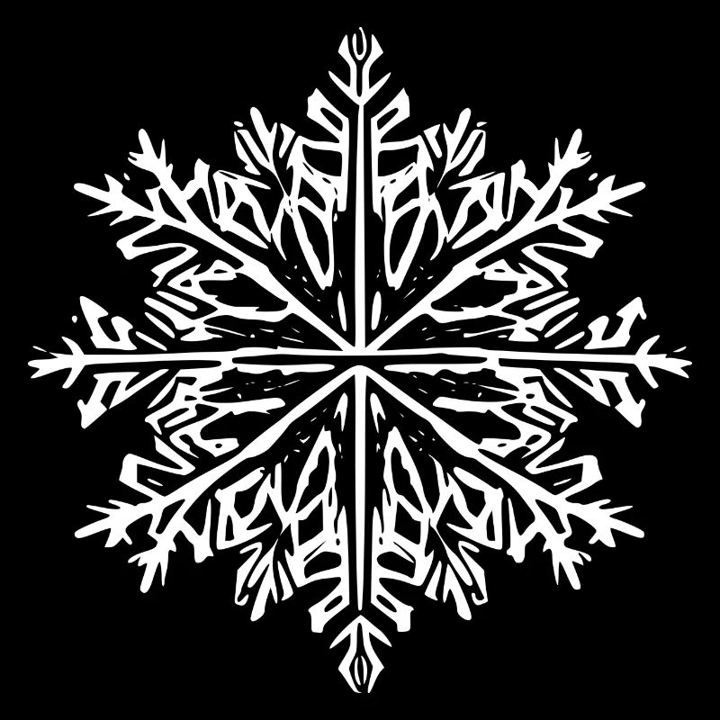 Snowflake Snow Winter Christmas Cold 7