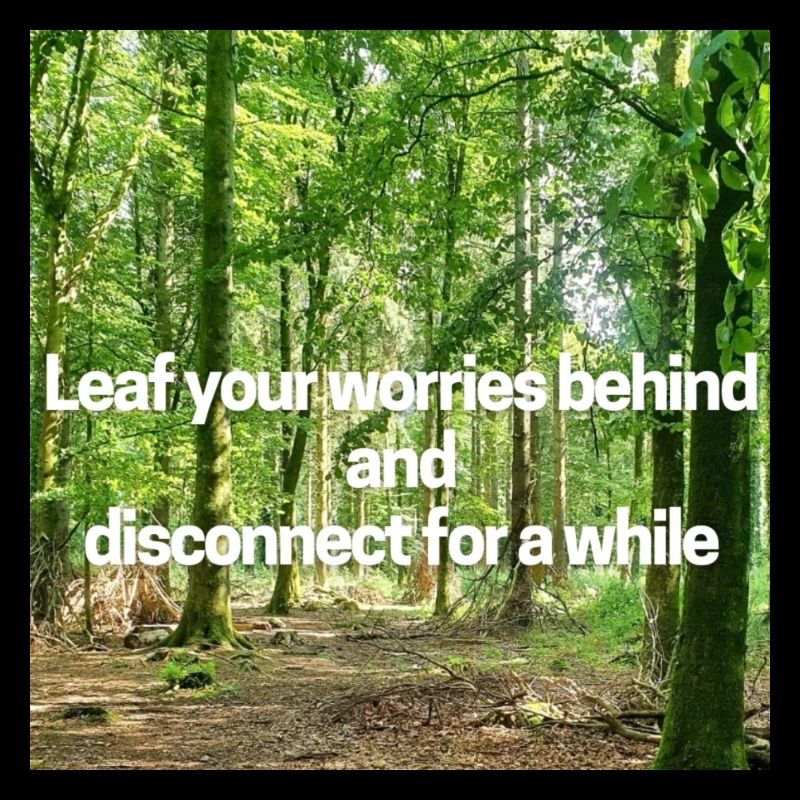 Leaf your worries behind