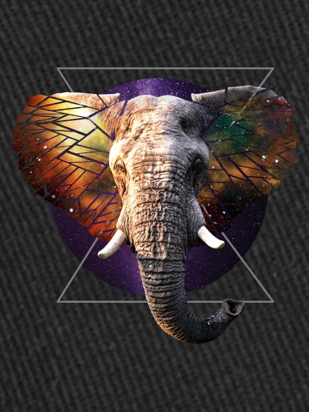 Éléphant de l’espace