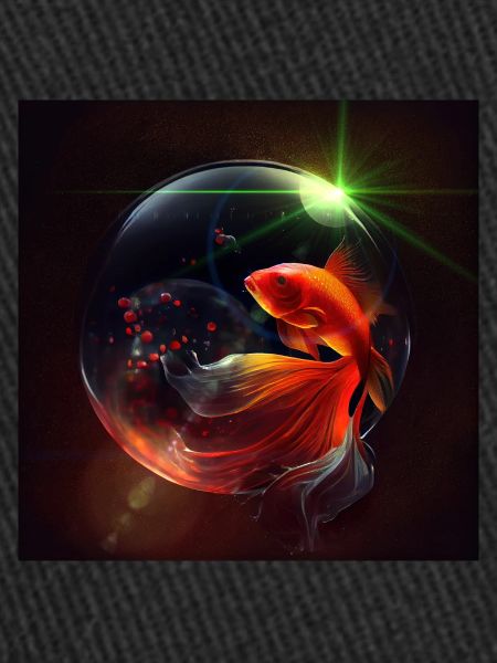 Betta Fisch Universum