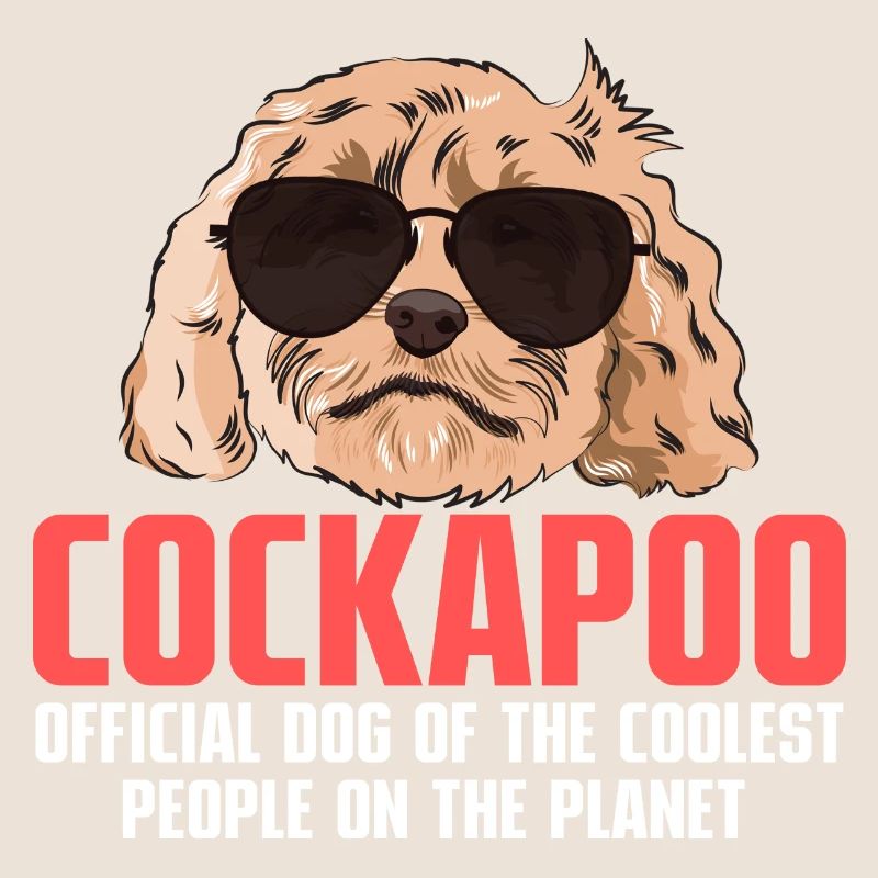 Cockapoo Dog