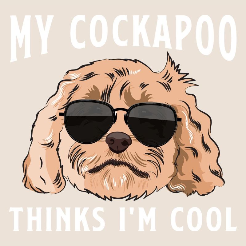 Cockapoo Chien