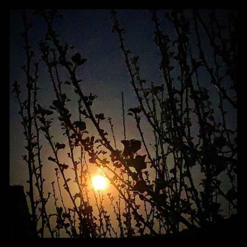 Lune