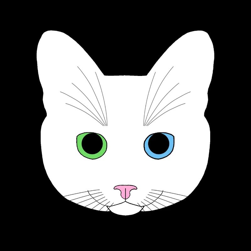 Chat blanc yeux vert bleu