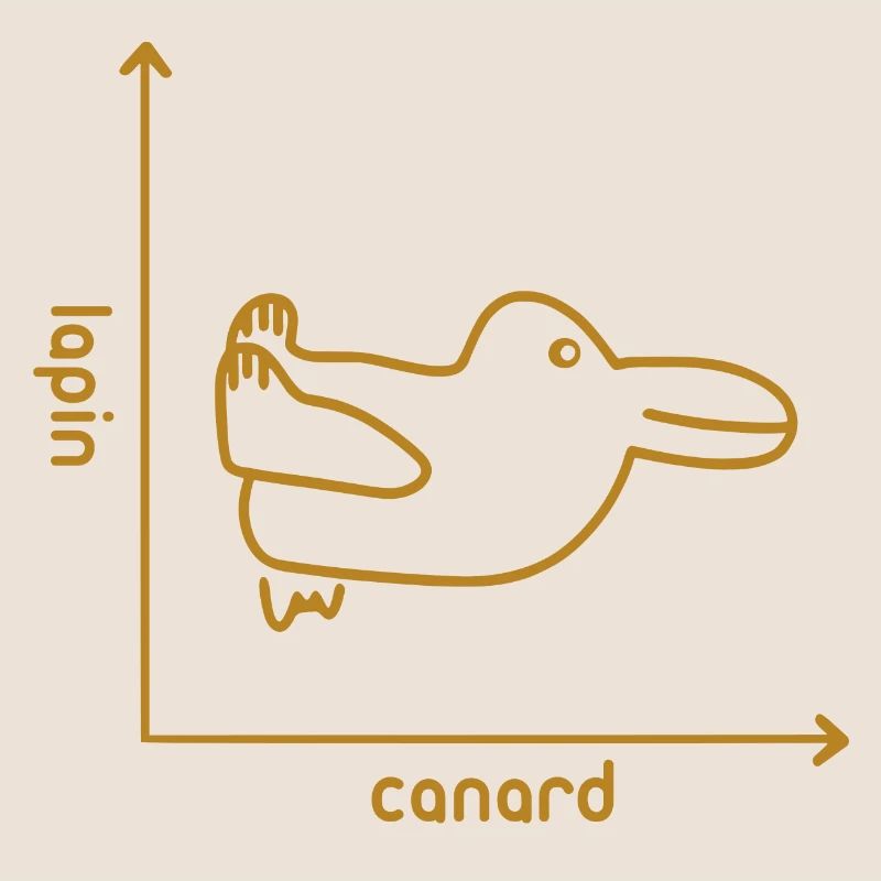Lapin & Canard